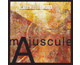 mAjuscule